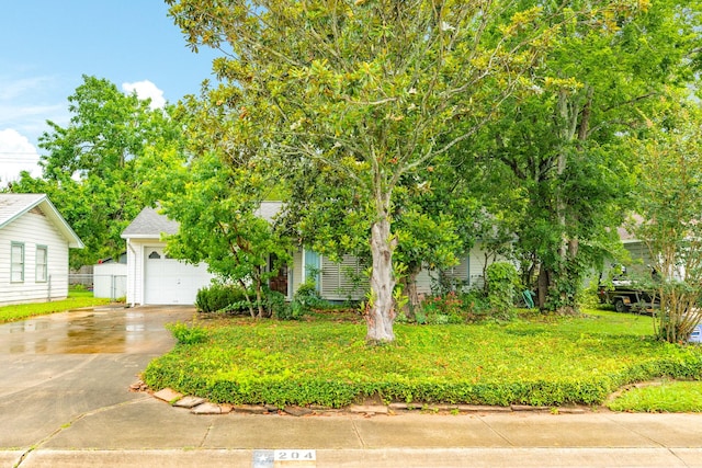 204 Caladium St, Lake Jackson, TX 77566 - view of property hidden behind natural elements featuring driveway and a garage