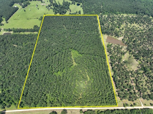 3 Fodice-2 Rd, Pennington, TX 75845