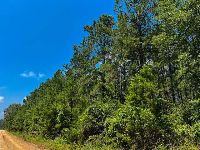 3 Fodice-2 Rd, Pennington, TX 75845
