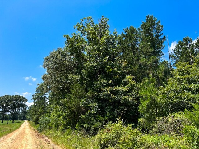 3 Fodice-2 Rd, Pennington, TX 75845