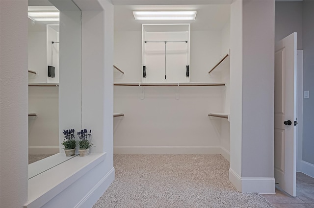 10002 Hutton Park Dr, Katy, TX 77494 - spacious closet with carpet floors