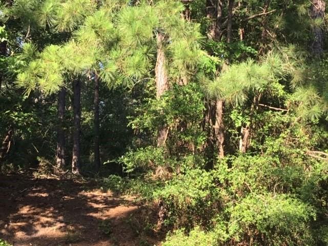 000 Navaho Trl, Onalaska, TX 77360