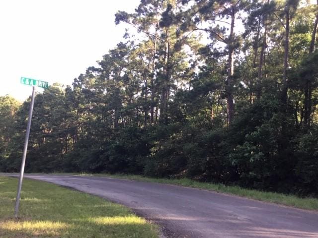 000 Navaho Trl, Onalaska, TX 77360