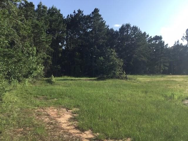 000 Navaho Trl, Onalaska, TX 77360