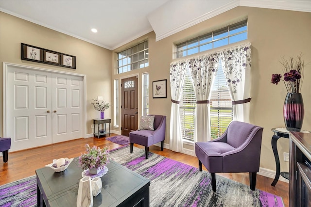 2206 E Van Trease Dr, Deer Park, TX 77536 - living room featuring crown molding, baseboards, wood finished floors, recessed lighting, and a high ceiling