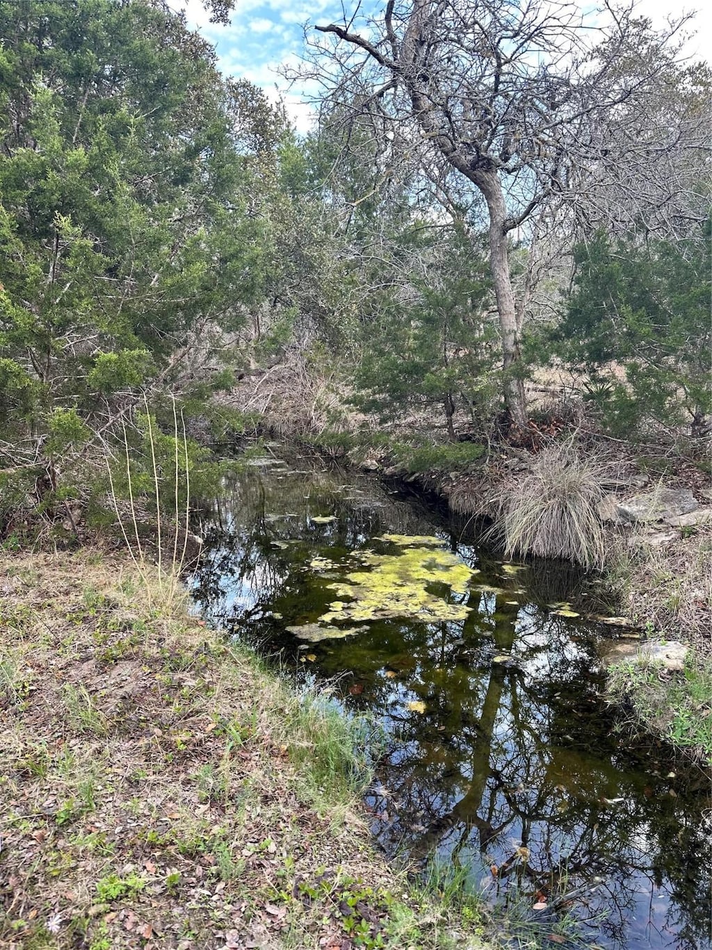 TBD Ranch Road 12, Dripping Springs, TX 78620 - photo 1