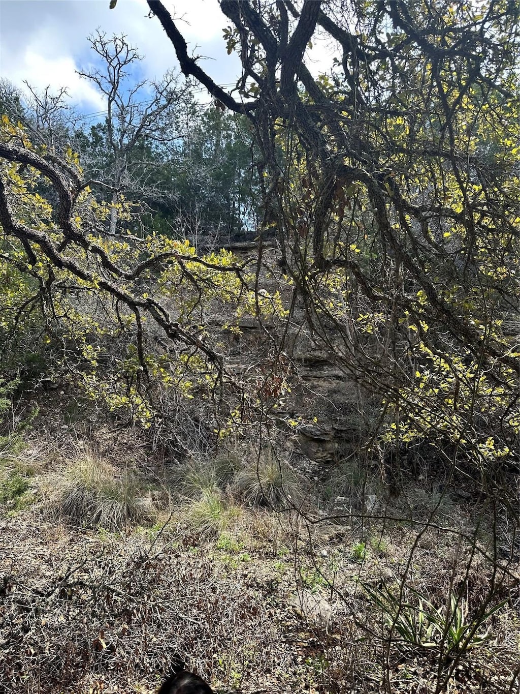 TBD Ranch Road 12, Dripping Springs, TX 78620 - photo 3