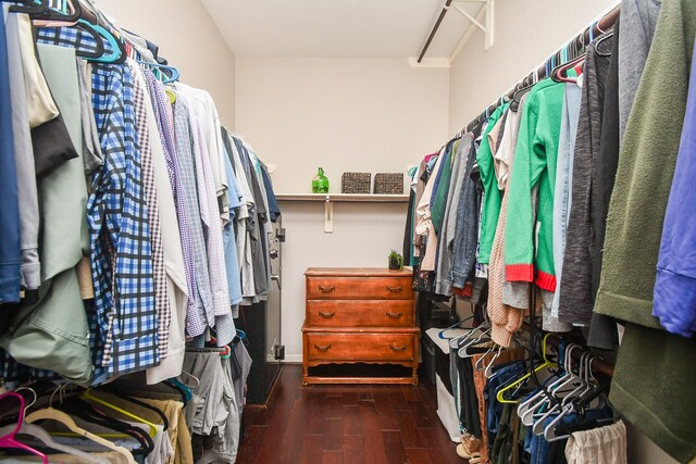 31 Hope Farm Rd, Missouri City, TX 77459 - walk in closet with wood finished floors