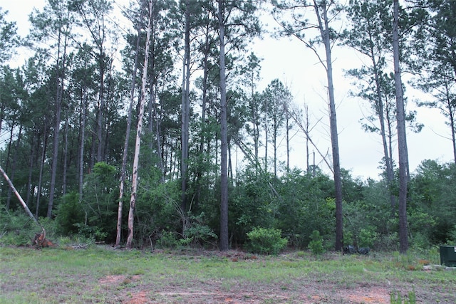 15392 Forest Grove Dr, Willis, TX 77378