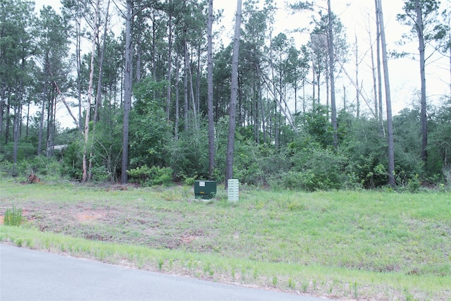 15392 Forest Grove Dr, Willis, TX 77378