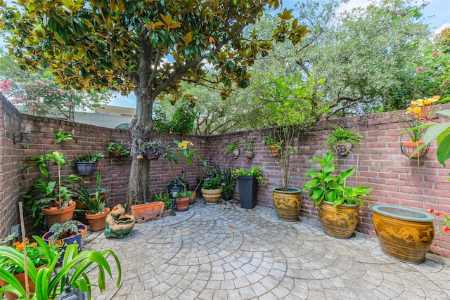 2322 Steel St Unit 19, Houston, TX 77098 - fenced backyard with a patio