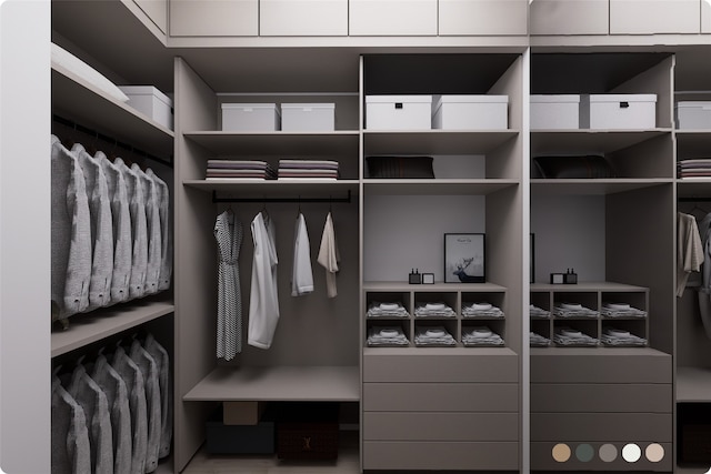 1407 Indiana St, Houston, TX 77006 - view of walk in closet