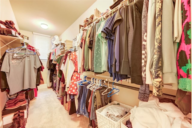 1103 River Delta Ln, Rosenberg, TX 77469 - spacious closet with light colored carpet