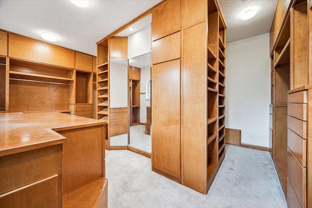 3224 Alabama Ct, Houston, TX 77027 - spacious closet with carpet floors