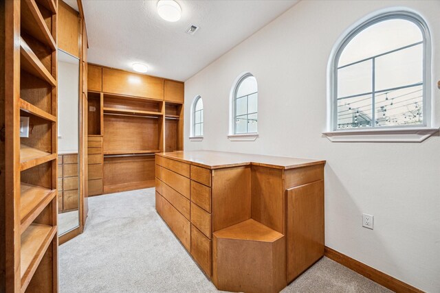 3224 Alabama Ct, Houston, TX 77027 - spacious closet featuring light carpet
