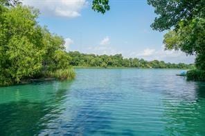 95 Flamingo Bay Dr, Missouri City, TX 77459 - photo 4