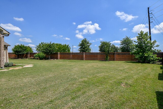 23402 Skylark Falls Trl, Katy, TX 77493 - view of yard