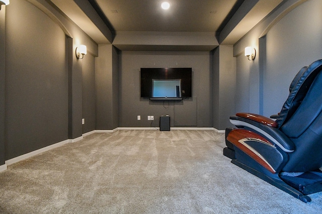 23402 Skylark Falls Trl, Katy, TX 77493 - carpeted home theater with a raised ceiling and baseboards