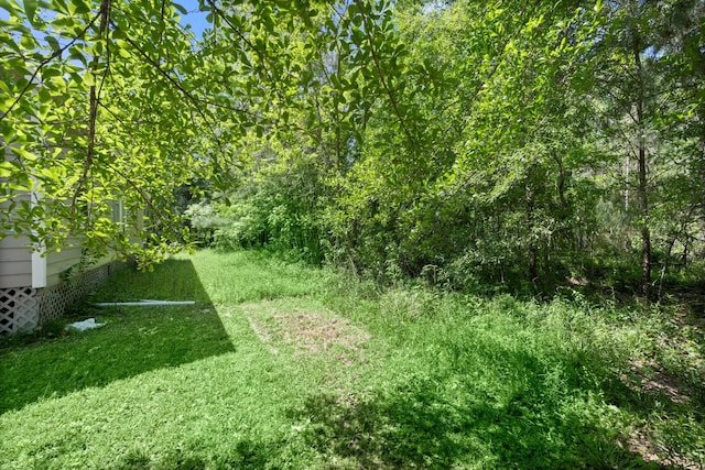 14790 N Tram Rd, Splendora, TX 77372 - view of grassy yard