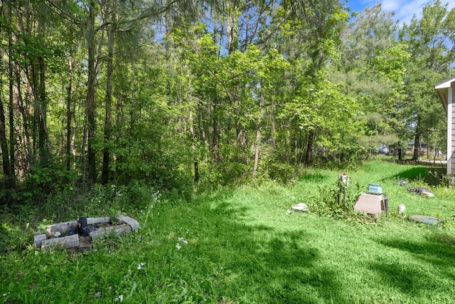 14790 N Tram Rd, Splendora, TX 77372 - view of yard