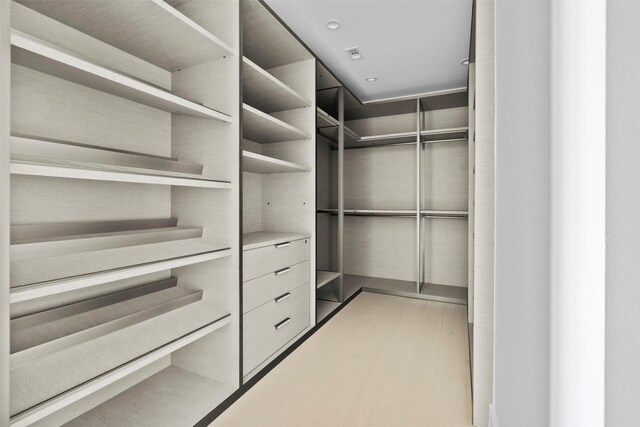 2047 Westcreek Ln Unit 1105, Houston, TX 77027 - view of spacious closet