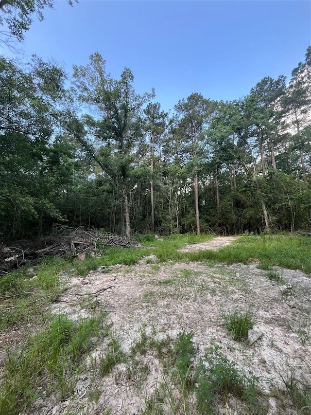 TBD Jernigan Rd, Conroe, TX 77306