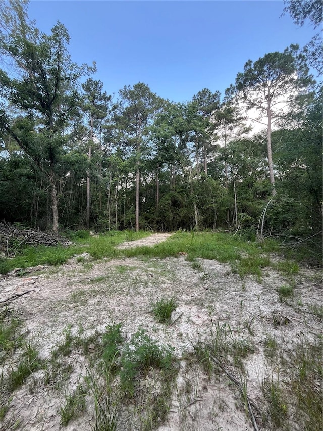 TBD Jernigan Rd, Conroe, TX 77306
