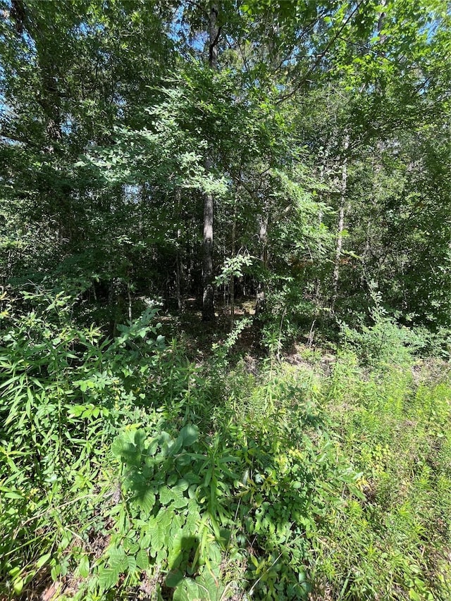TBD Jernigan Rd, Conroe, TX 77306