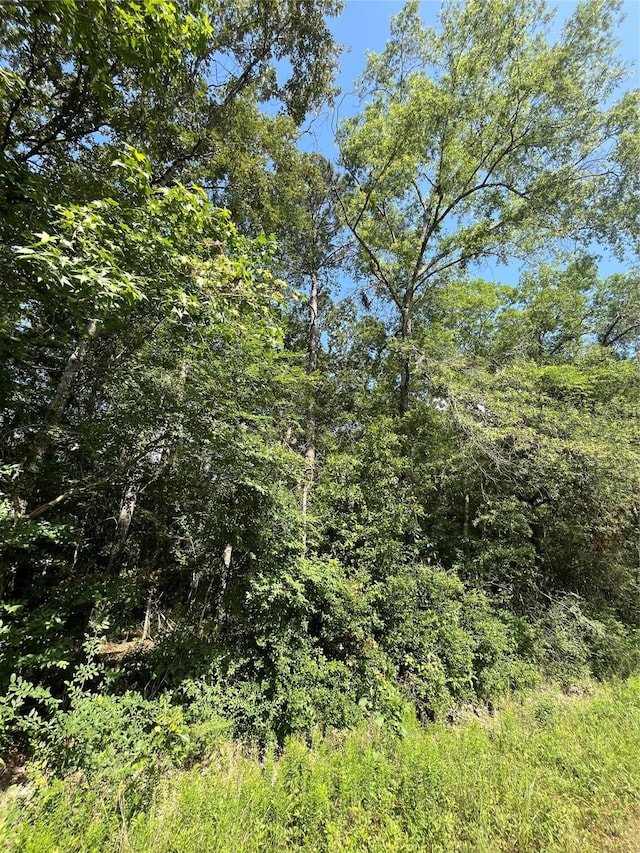 TBD Jernigan Rd, Conroe, TX 77306