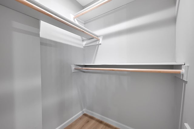 20006 18th Fairway Dr, Humble, TX 77346 - walk in closet with light wood-type flooring