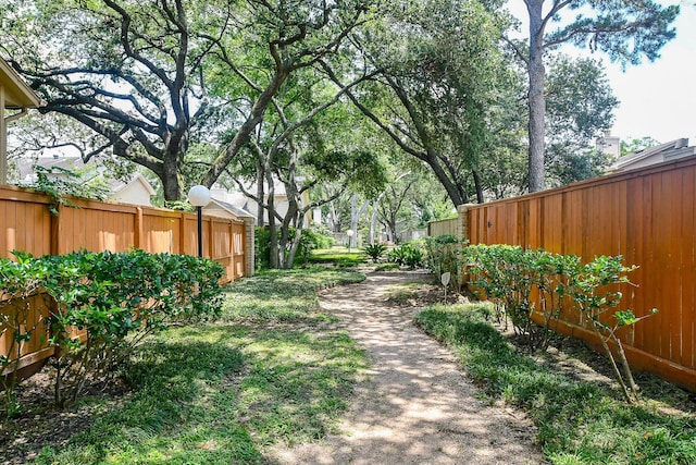 8028 Oakwood Forest Dr, Houston, TX 77040 - view of yard