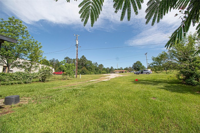 130 Magnolia Cv, Onalaska, TX 77360 - photo 4