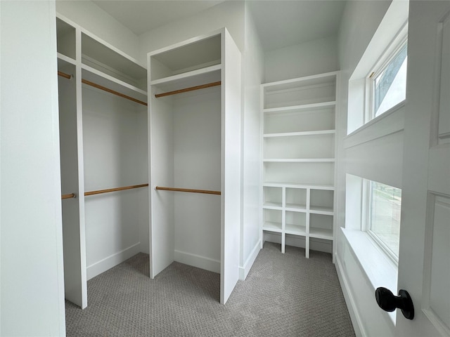 1307 71st St Unit A, Houston, TX 77011 - walk in closet featuring carpet flooring