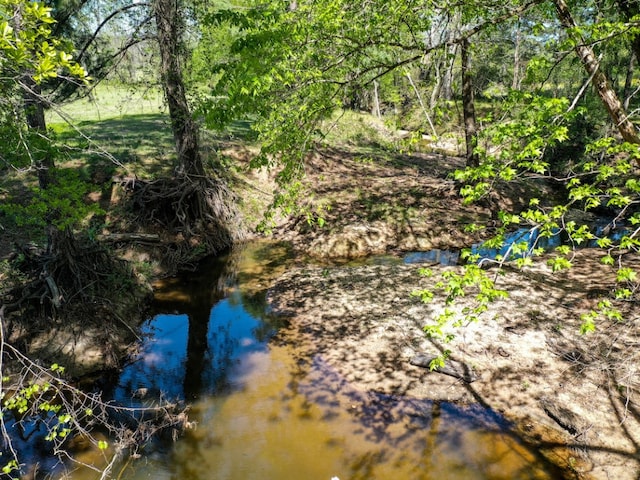 11ACRES Black Jack Rd, Huntsville, TX 77340 - photo 3