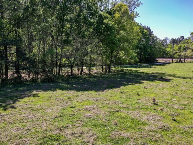 11ACRES Black Jack Rd, Huntsville, TX 77340 - photo 4
