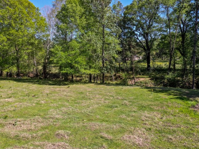 11ACRES Black Jack Rd, Huntsville, TX 77340 - photo 5