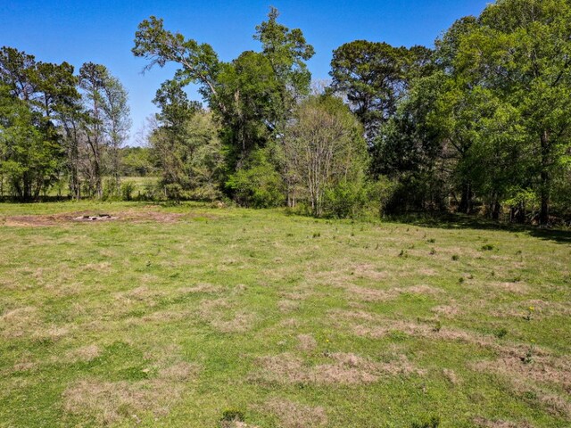 11ACRES Black Jack Rd, Huntsville, TX 77340 - photo 6