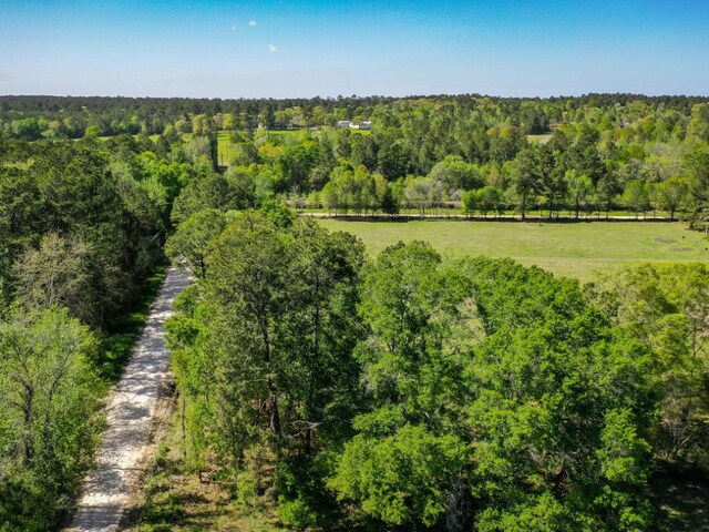 11ACRES Black Jack Rd, Huntsville, TX 77340 - photo 7