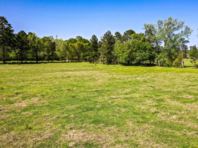 11ACRES Black Jack Rd, Huntsville, TX 77340 - photo 8