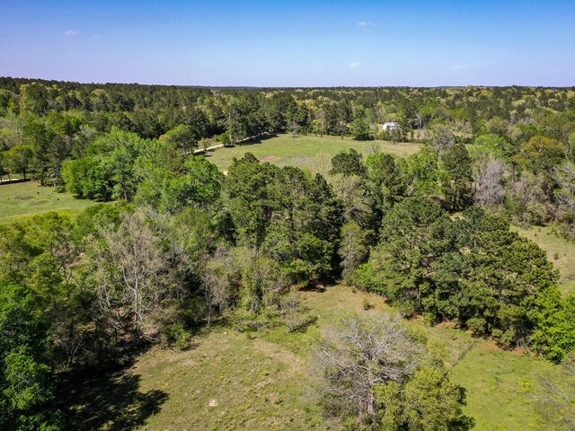 11ACRES Black Jack Rd, Huntsville, TX 77340 - photo 9