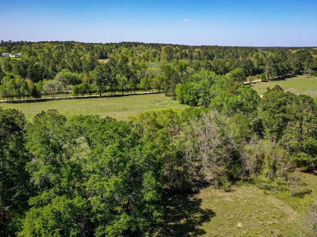 11ACRES Black Jack Rd, Huntsville, TX 77340 - photo 10
