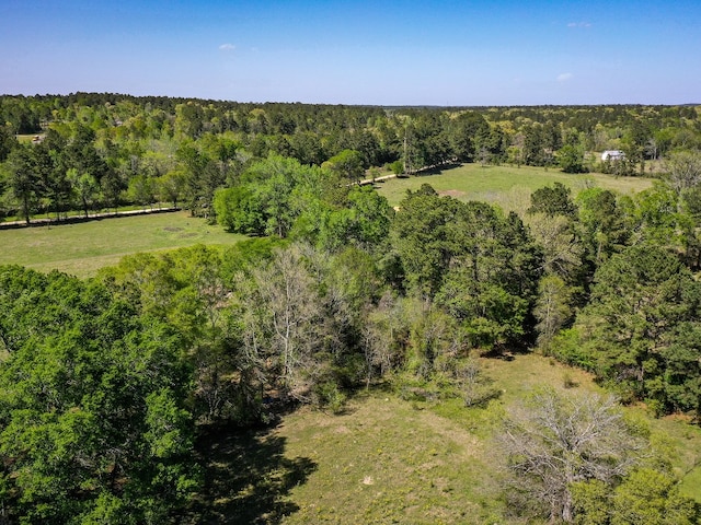 11ACRES Black Jack Rd, Huntsville, TX 77340 - photo 11
