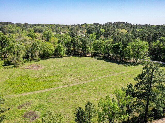 11ACRES Black Jack Rd, Huntsville, TX 77340 - photo 12
