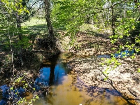 11ACRES Black Jack Rd, Huntsville, TX 77340 - photo 14