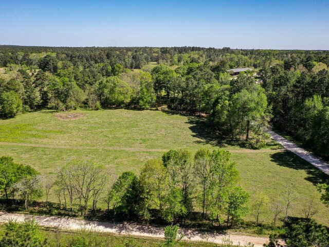 11ACRES Black Jack Rd, Huntsville, TX 77340 - photo 15