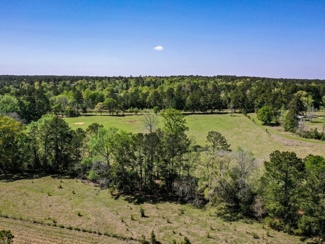 11ACRES Black Jack Rd, Huntsville, TX 77340 - photo 16