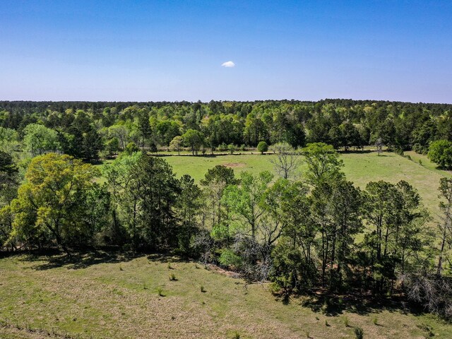 11ACRES Black Jack Rd, Huntsville, TX 77340 - photo 17