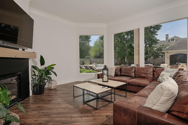 7 Spindrift Pl, The Woodlands, TX 77381 - living room featuring plenty of natural light, a glass covered fireplace, dark wood-style flooring, crown molding, and baseboards