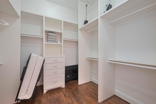 1035 Herkimer St, Houston, TX 77008 - walk in closet featuring dark wood-type flooring