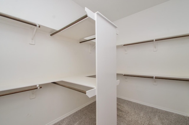 5319 Green Cove Bend Ln, Houston, TX 77041 - spacious closet featuring carpet floors